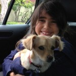 With a little prep work, a puppy can be a wonderful addition to your family    Photo: m. lorusso