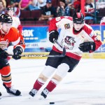 Opening night for the San Francisco Bulls    photo: S.F. Bulls