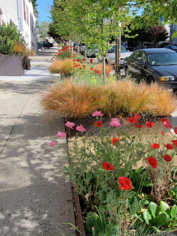 Marina Times - Transform your sidewalk into an urban garden