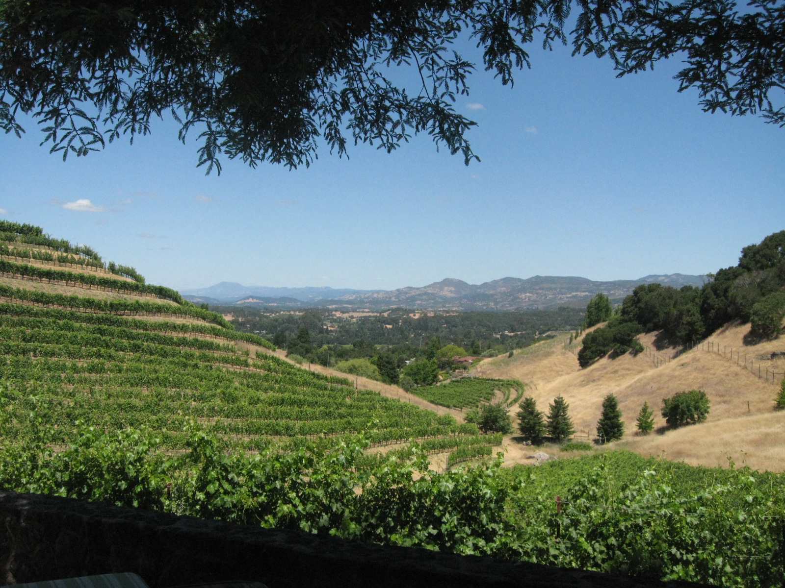 Marina Times Explore downtown Napa and neighboring Coombsville