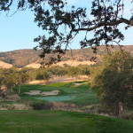 Number 4 at Saddle Creek (Bo Links)