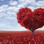 Let Valentine’s Day be your celebration of all that you love. Photo: Skeeze