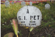 GI PET