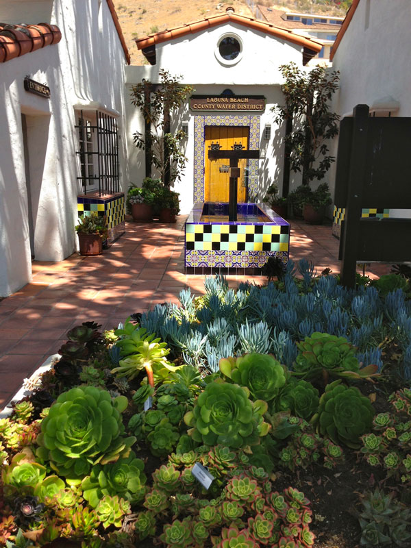 the Water District Building’s succulent garden