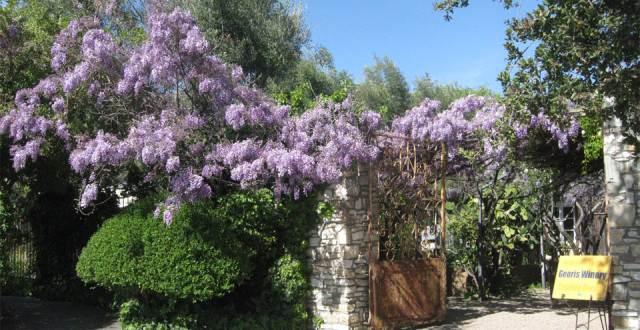 The adobe housed Georis Winery