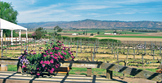 The view from Paraiso Vineyards (photos: bo links)