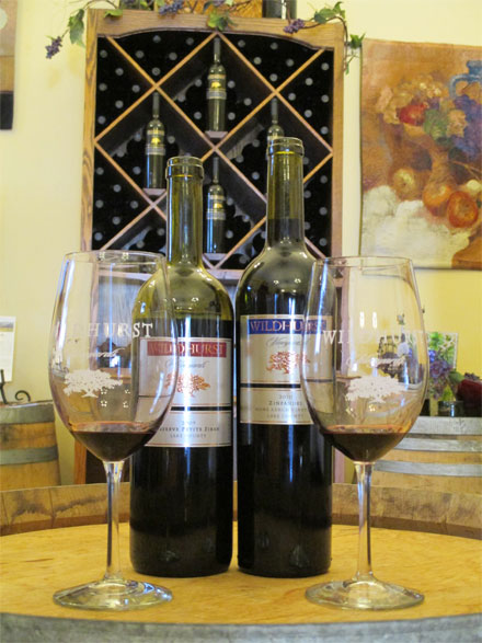 Taste Wildhurst Vineyards wines (photo: Patty Burness)