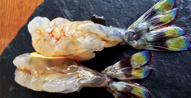You’ll find sustainable, often unique seafood like imperial shrimp at Akiko’s (photo: susan dyer reynolds)