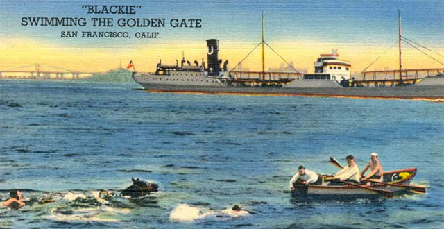 Colorized postcard image of Blackie the horse swimming the Golden Gate, 1938 photo: courtesy Carol A. Jensen / outsidelands.org