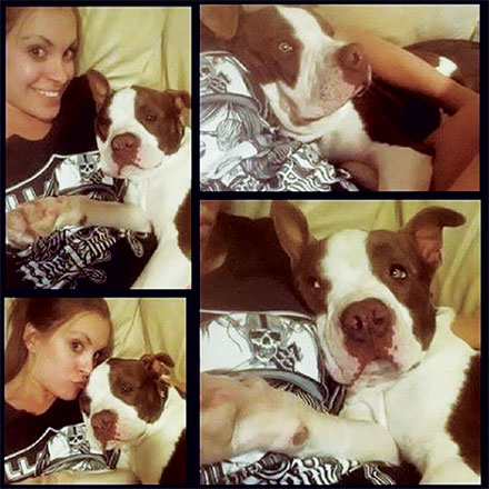 Phinny cuddling with his foster mom photo: courtesy savannahspawtracks.com