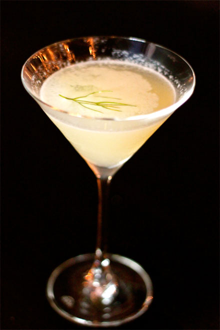 Apple-Tini (photo garrick ramirez)
