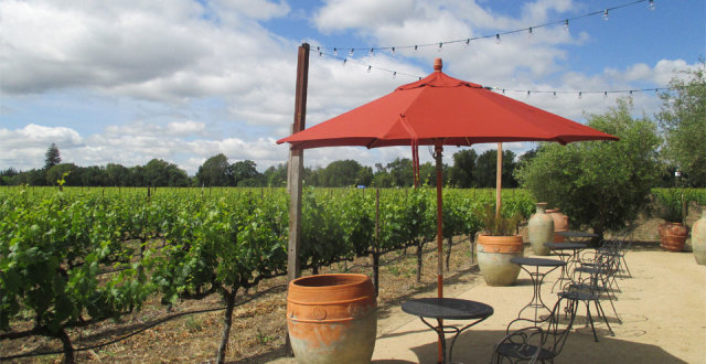 The vineyard at Luna