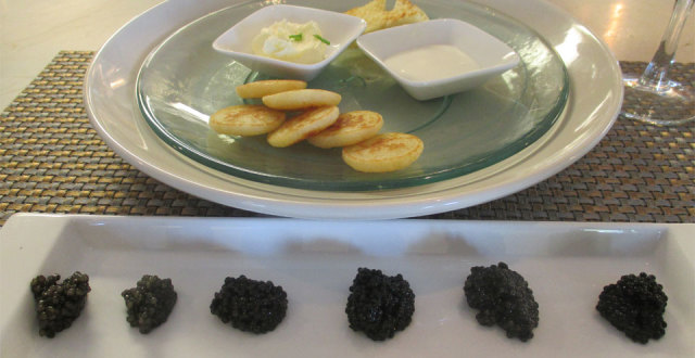 Exquisite Caviars (photo: Bo Links)
