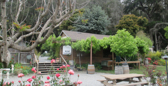 Taste wine at Nebbia Winery (photo: Bo Links)