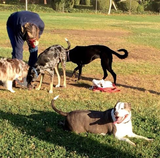 Skylar plays hard-to-get while her hound dog love, Mako, gets some water.