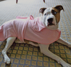 Jazzy took quite a liking to this pink robe, also from AnnaBee's