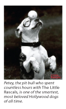oct_petey