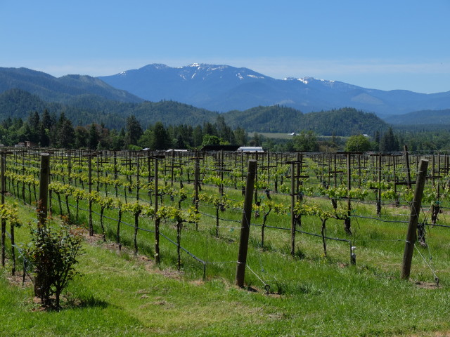 Marina Times - Explore Oregon’s scenic coast and Applegate Valley wine ...