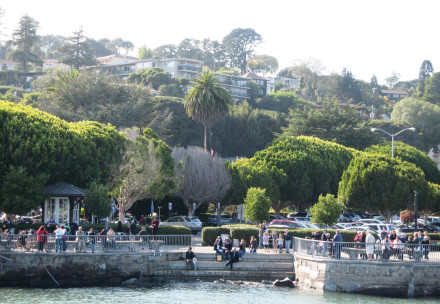 Approaching Sausalito via ferry. Photo: Bo Links