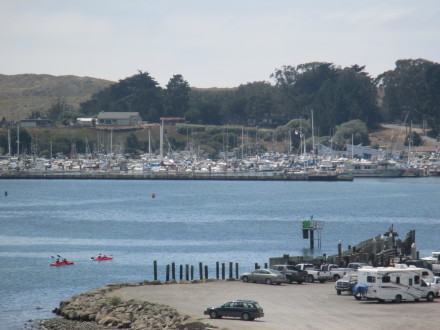 Tranquil Bodega Bay.  Photo: Bo Links