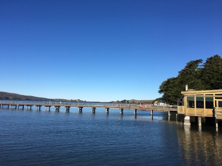 The view from Al's Place at Nick's Cove. Photo: Susan Dyer Reynolds