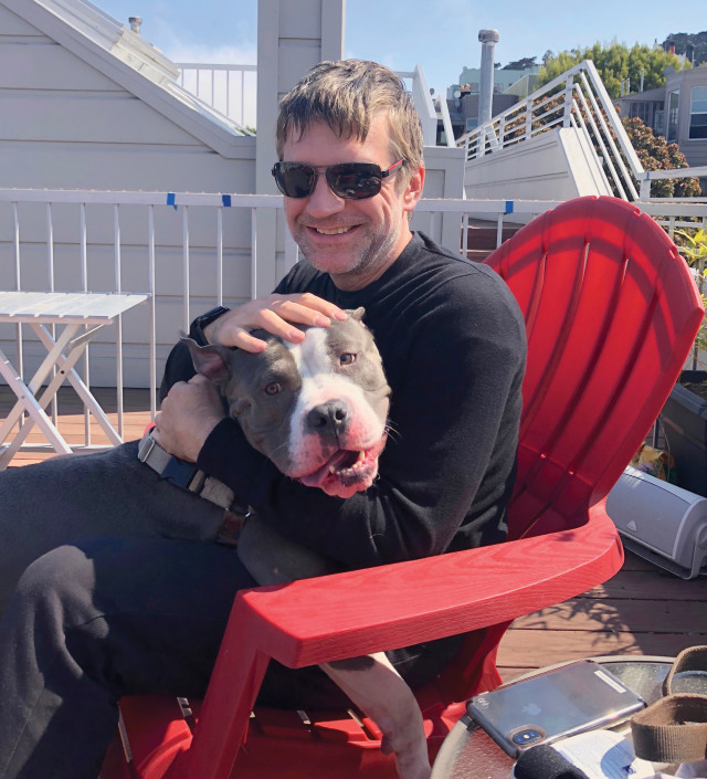 rocket dog sunglasses