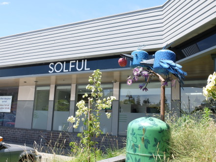 Visit Solful. Photo: Patty Burness