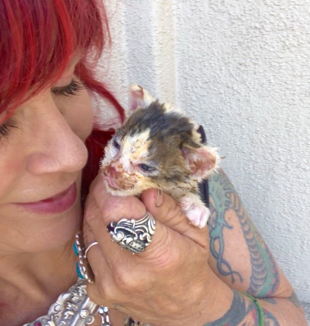 Rocket Dog founder Pali Boucher with Ember, a kitten saved from a fire.