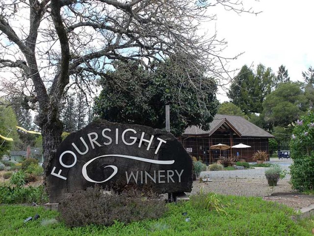 Foursight Wines focuses on sustainability and estate wines. PHOTO: Bo Links