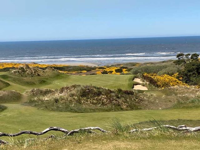 The Bandon Dunes Golf Resort features classic Scottish golf, Photo: Bo Links