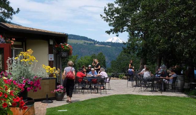 Visit Cathedral Ridge Winery with Mt. Adams in the distance, Photo: Bo Links