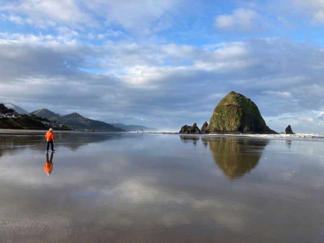 Explore-the-beach-at-low-tide, Photo by Bo Links