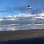 The-view-from-our-room-at-the-Surfsand-Resort, Photo by Bo Links